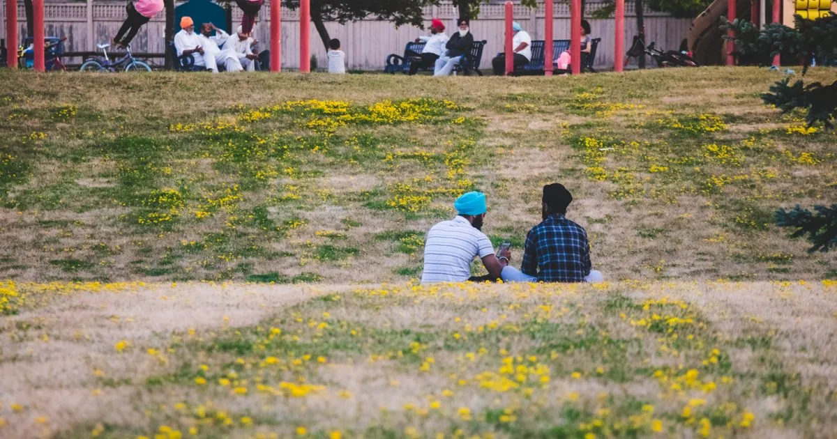 Families enjoying a summer afternoon in a Brampton park - payday loans Brampton residents use across the Flower City