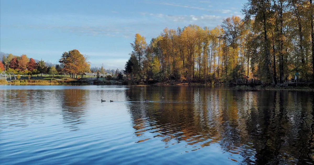 Autumn colours around a lakeside park in City Centre, home to payday loans Coquitlam borrowers