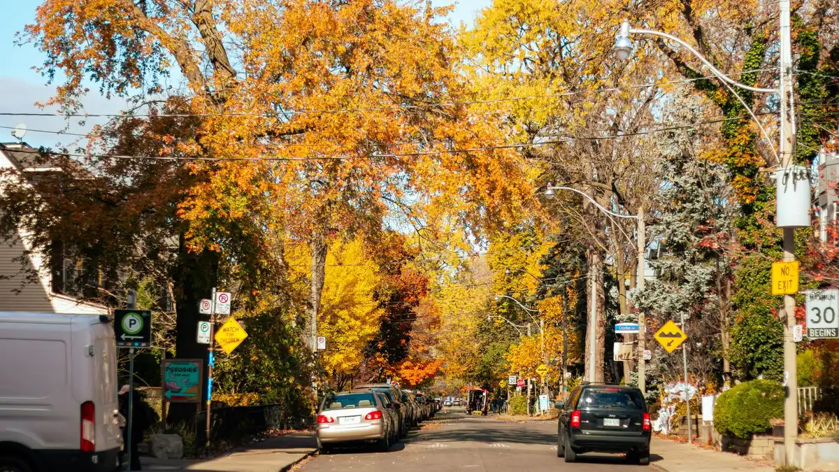 Tree-lined street in Toronto, where guaranteed payday loans ads meet Ontario's payday rules